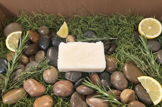 Non-Toxic Homemade Dish Soap Kit Lemon Scented